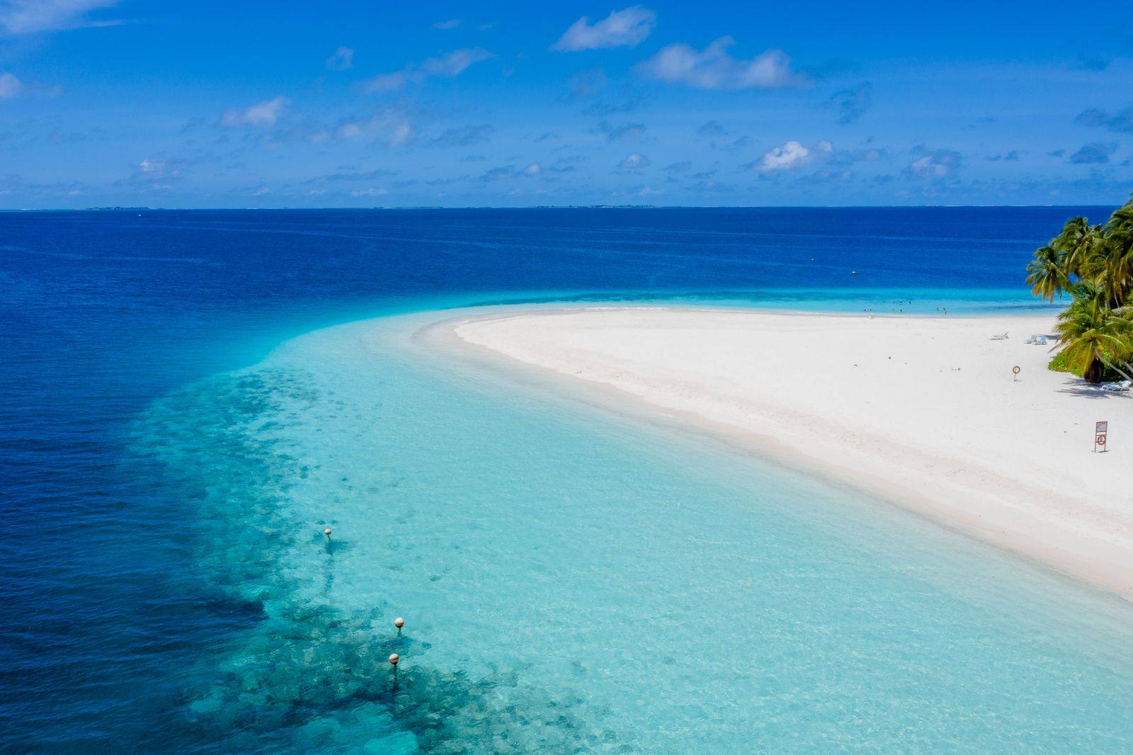 Snorkelling on the reef